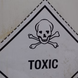 Toxic sign with skull