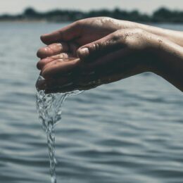Hands pouring water