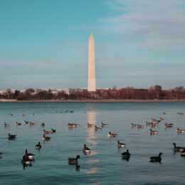 Washington Monument and reflecting pool.