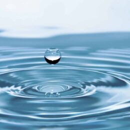 Water droplet.