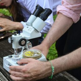 Microscope