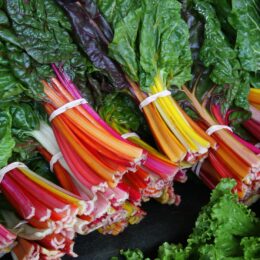 Swiss Chard Rainbow