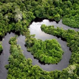 River in Amazon rainforest