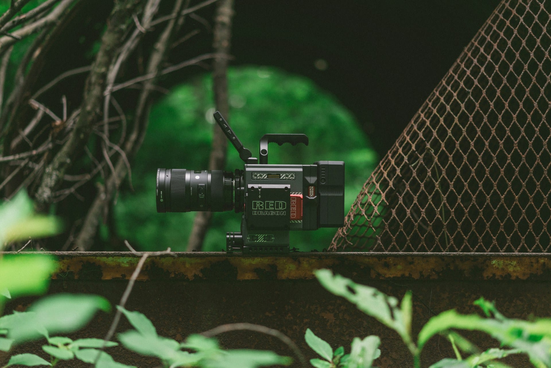 Movie camera in nature