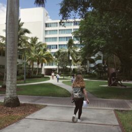Student at university