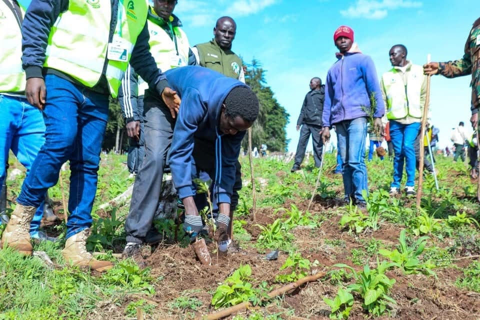 Hillary Kibiwott planting trees in Kenya