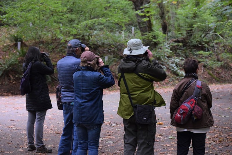 Bird watchers at Discovery Park, Washington
