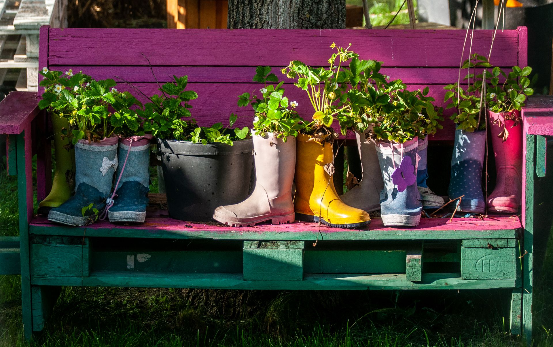 Upcycled planters