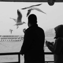 People watching seagulls