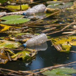 Plastic bottle in water