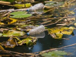 Plastic bottle in water
