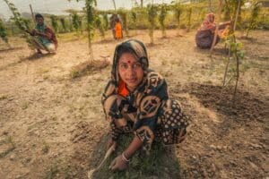 Woman planting tree