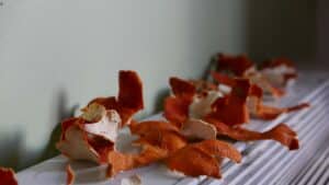 Dried organge peels Photo by Ana T. on Unsplash