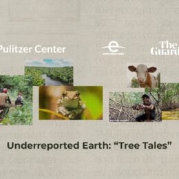 Underreported Earth: Tree Tales