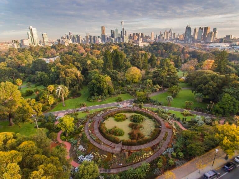 courtesy-of-royal-botanic-gardens-victoria-photographer-adrian-vittorio (1)