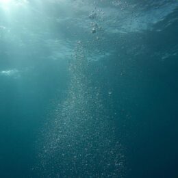 Deep ocean, scene from under water, for Earth Day diary