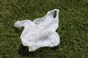 edn_plastic_bag_on_grass