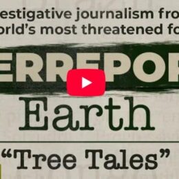 Thumbnail-for-Underreported-Earth-series