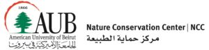 NCC Beirut Logo