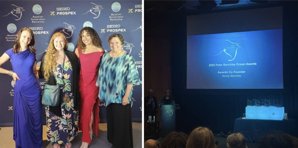 Peter Benchley Ocean Awards on World Ocean Day