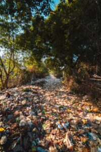 Plastic trash littering forest path