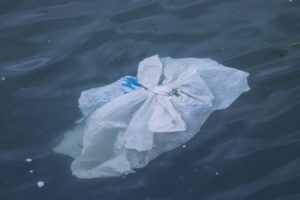 plastic bag in water