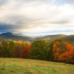 mountain with fall trees