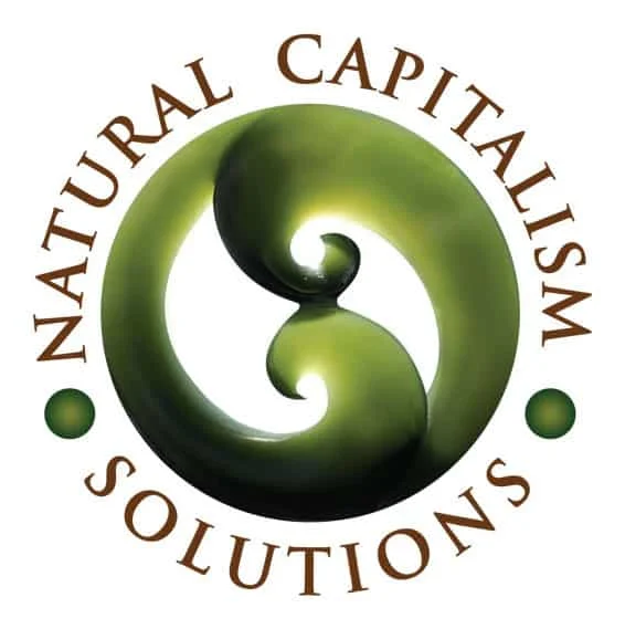 Natural Capitalism Solutions