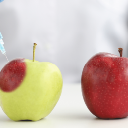 syringe in apples