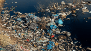 231030_blog_trashinriver