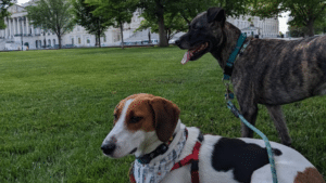Buzz and Sally Ride