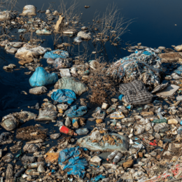 Trash in the water
