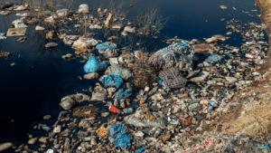 Trash in the water