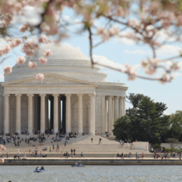Jefferson Memorial and cherry blossoms.