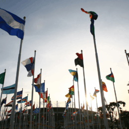 Global flags