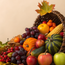 Cornucopia