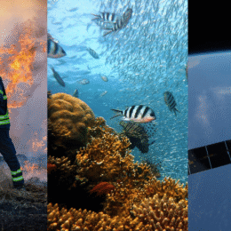 Triptypch of firefighter, coral reefs, and satellite