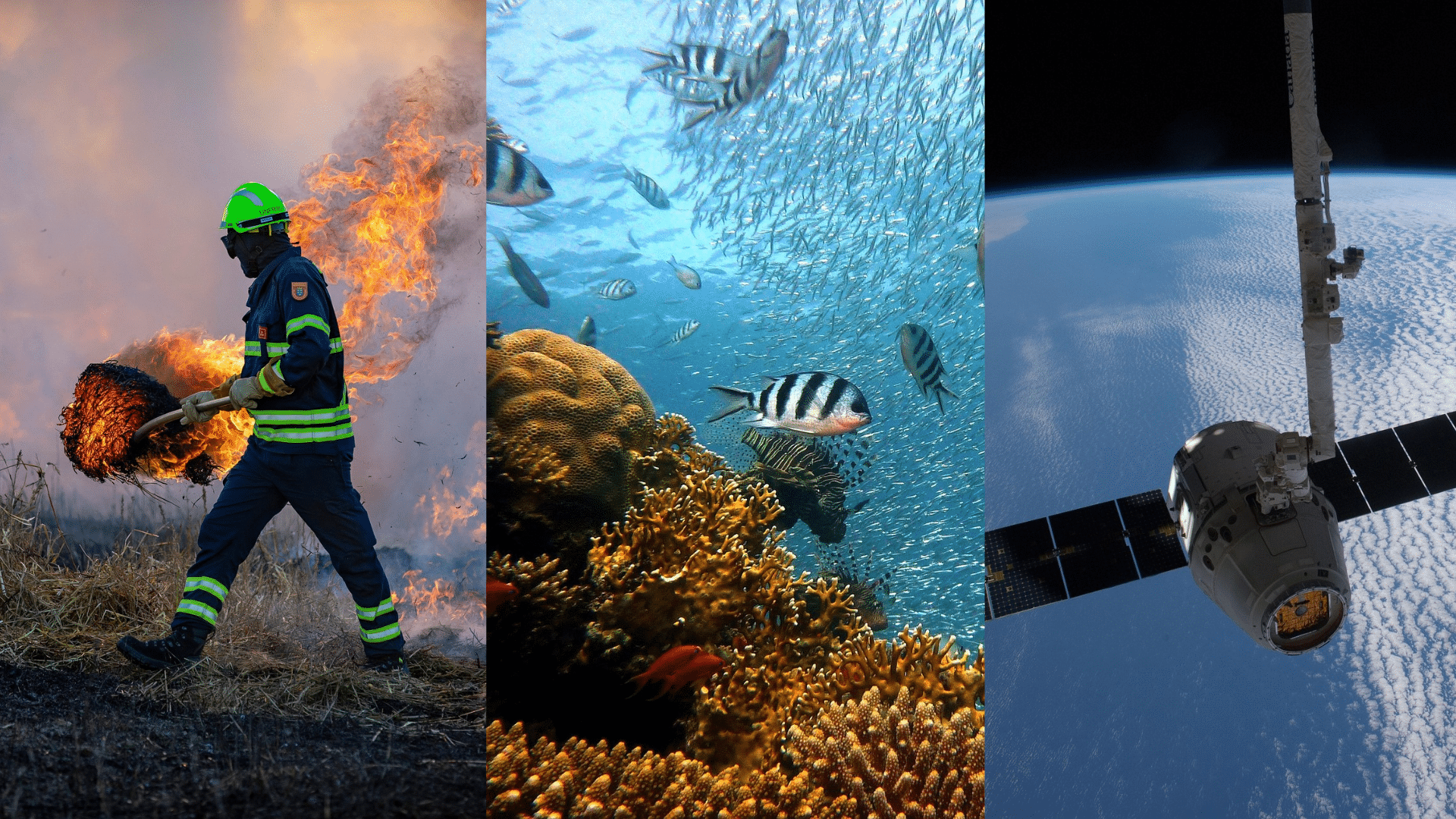 Triptypch of firefighter, coral reefs, and satellite