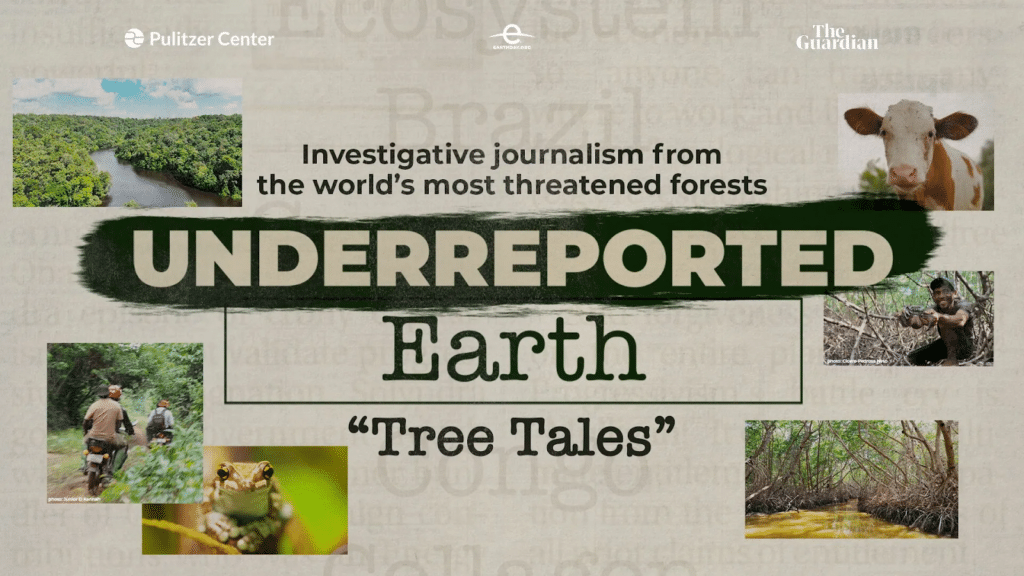 Underreported Earth: "Tree Tales" announcement of Canopy Tree Project investigative journalism video series