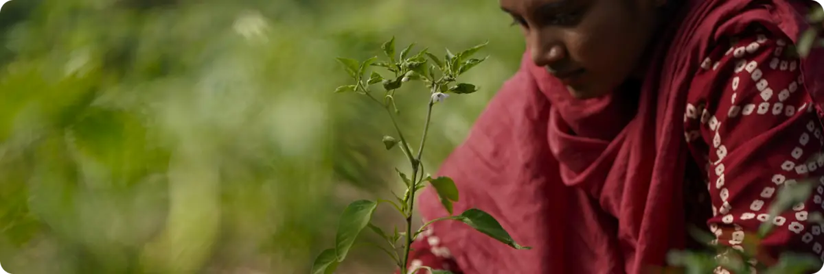 Planting To Empower